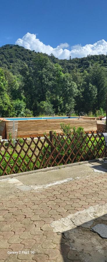 La Caravane Le Nid Douillet Ponte-Leccia Zewnętrze zdjęcie